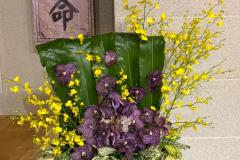 flower-2026-04-26