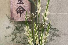 flower-2026-07-26