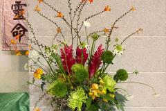 flower-2026-08-23