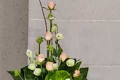 1_flower20240623