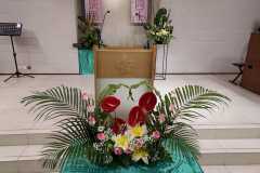 2025-06-29-flower-1