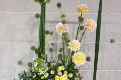 2025-07-06-flower