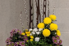 flower 20190106