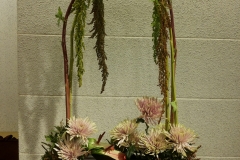 flower20160117
