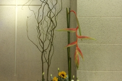 flower20160626