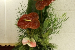 flower20160731
