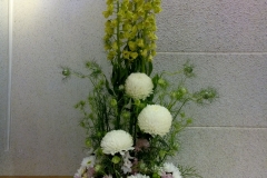 flower20170507