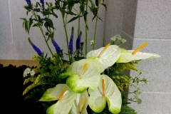 flower20170521