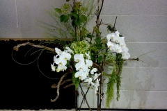 flower20170625