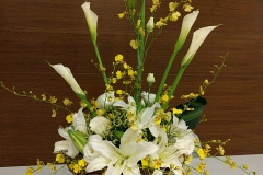 flower20180506