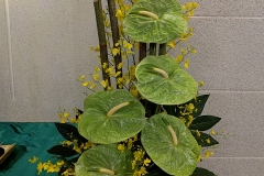 flower20180603