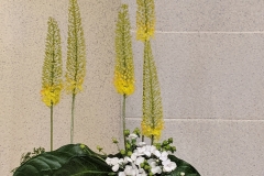 flower20190505