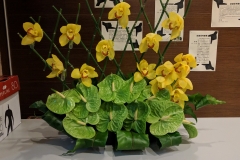 flower20191013