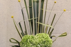 flower20191117