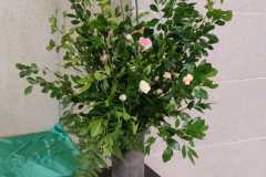 flower20220703