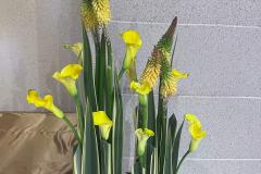 flower20240526