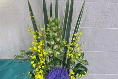 flower20240616