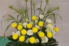 flower20240721