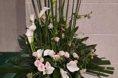 flower20240811